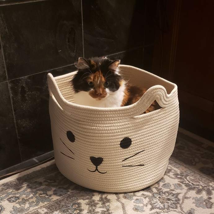 It is the perfect basket for cats! So cute!